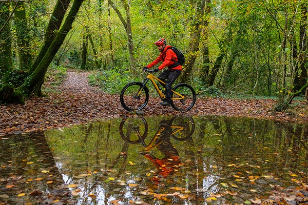 riding a specialized kanevo past a pond with reflection in water